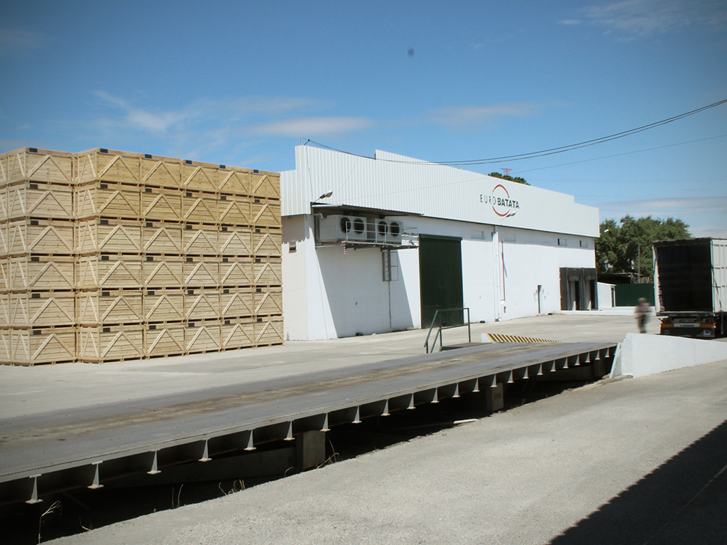 Distribuição